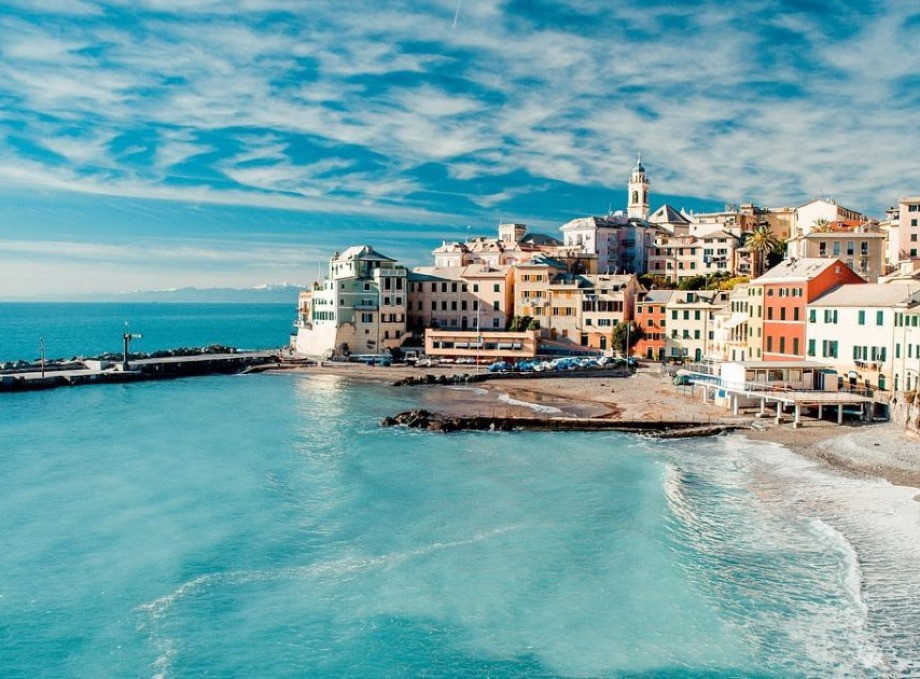 «Робота мрії» на грецькому острові: волонтерів запрошують доглядати за котами біля моря