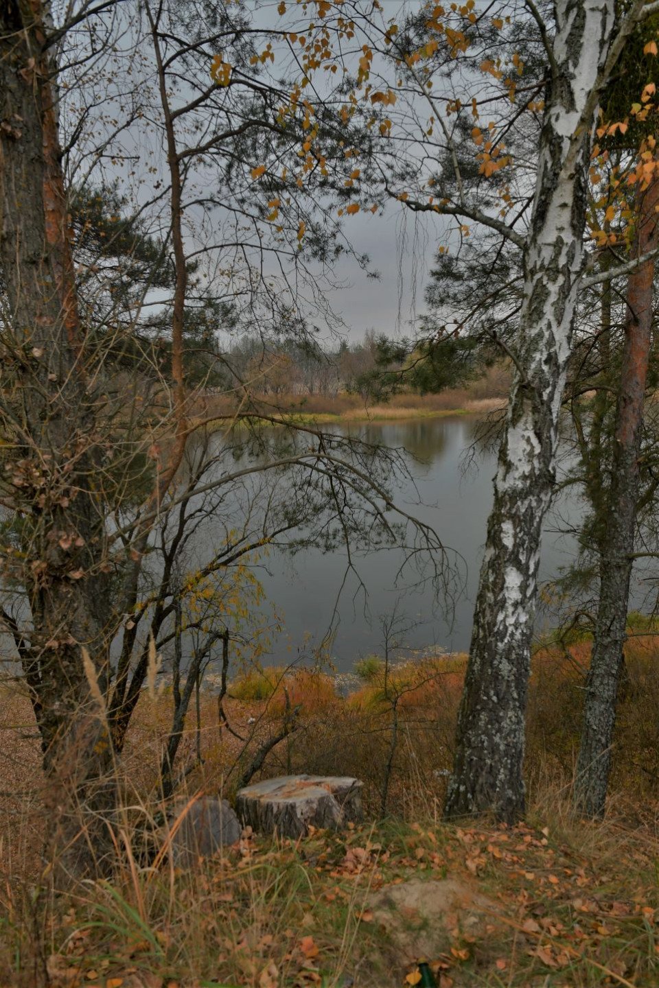 Золота осінь у Славутичі (фоторепортаж) фото №6