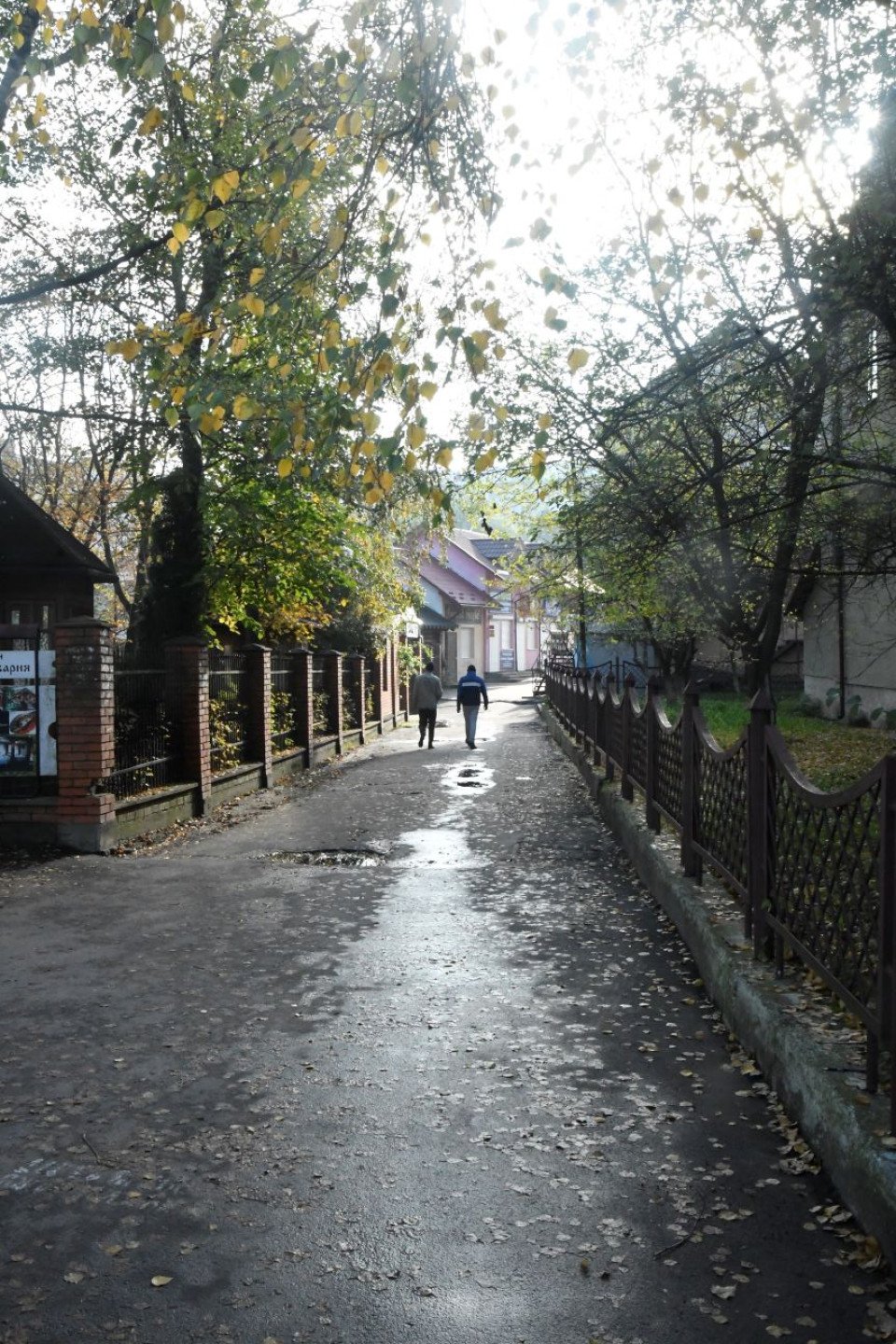 Золота осінь у Славутичі (фоторепортаж) фото №5