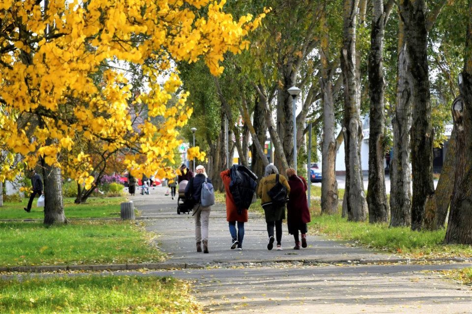 Золота осінь у Славутичі (фоторепортаж) фото №8
