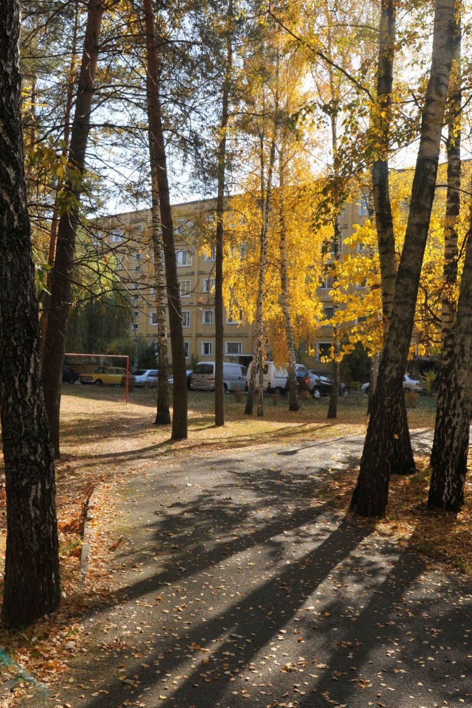 Золота осінь у Славутичі (фоторепортаж) фото №25