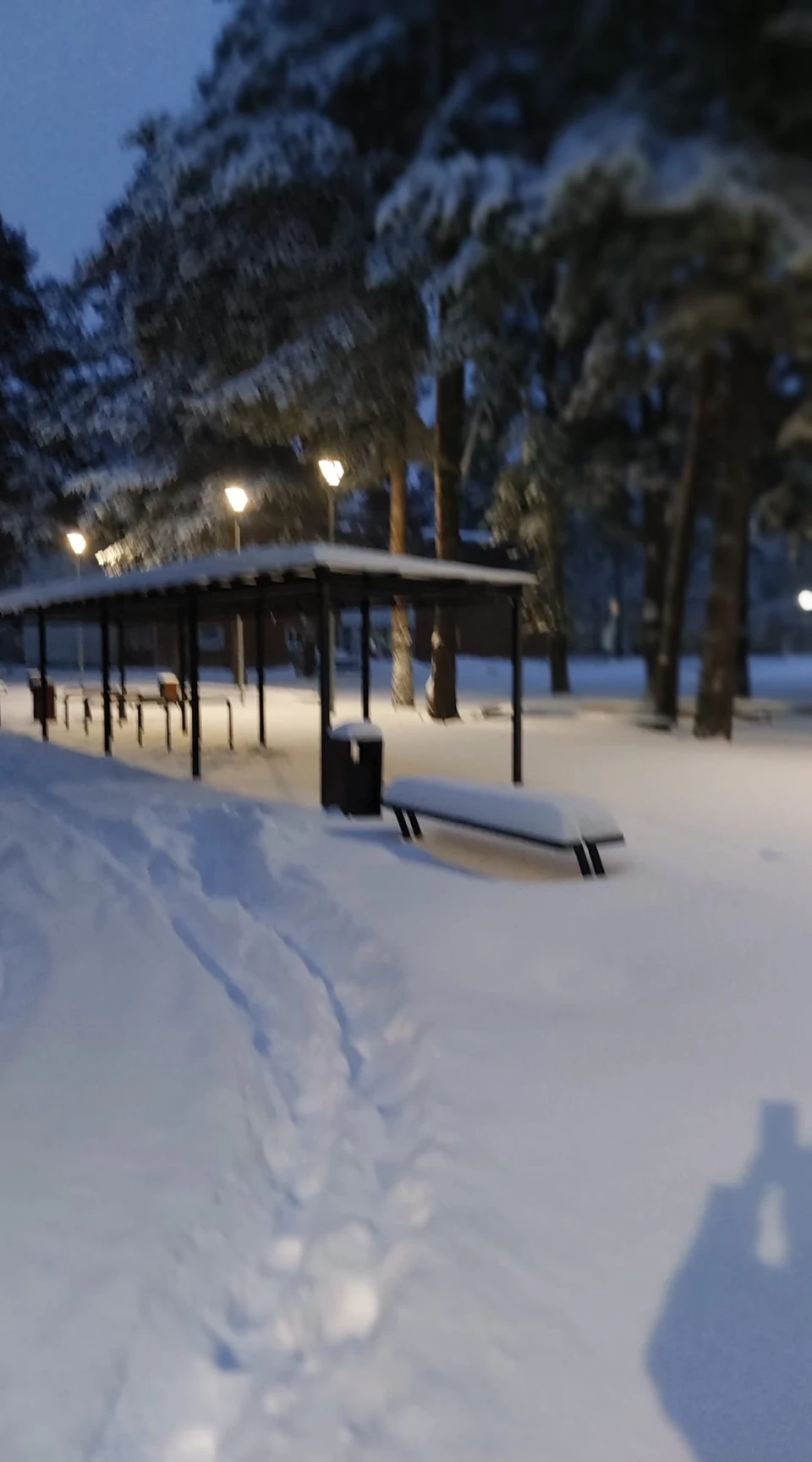 Зима у Славутичі: Альбом сніжних спогадів від Славутичан фото №3