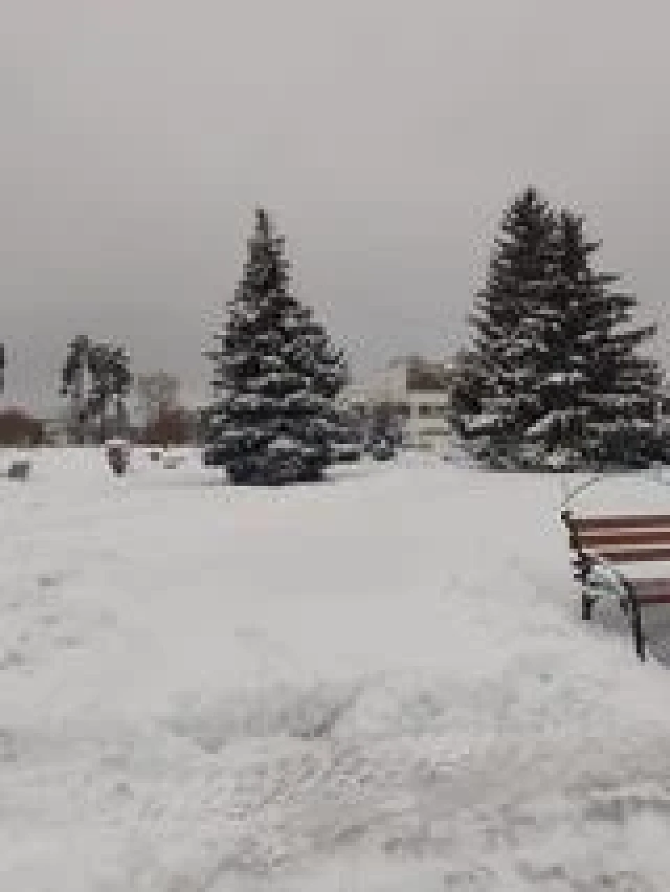 Зима у Славутичі: Альбом сніжних спогадів від Славутичан фото №5
