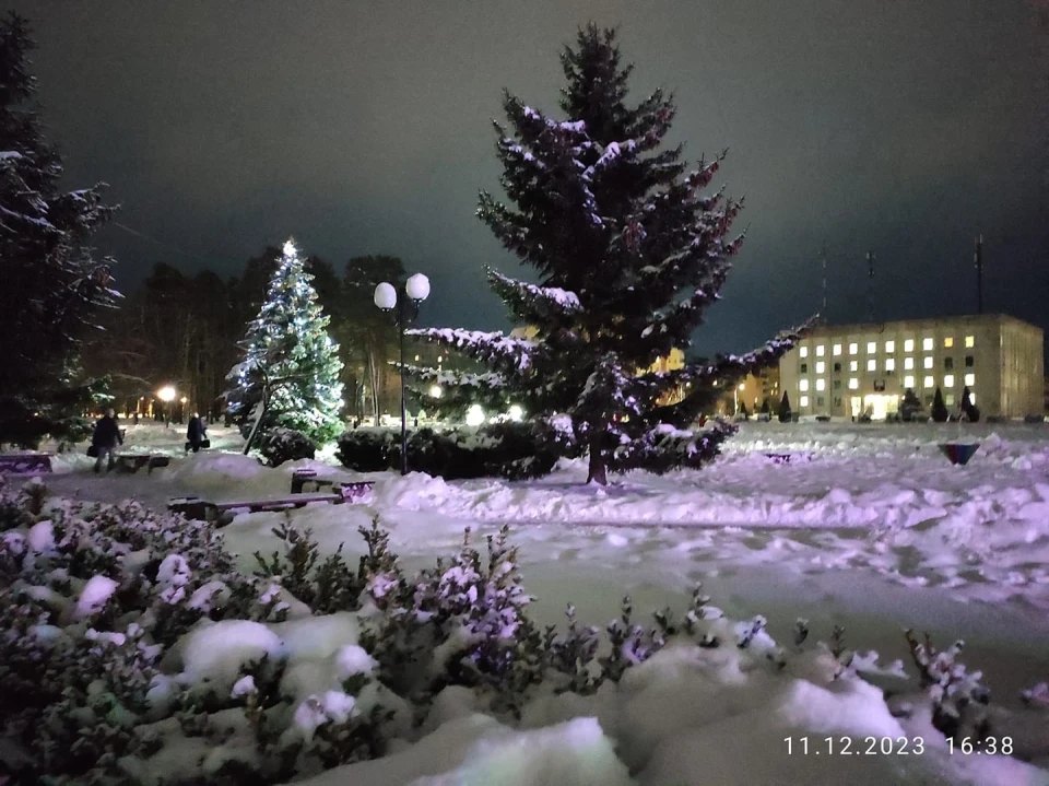 Зима у Славутичі: Альбом сніжних спогадів від Славутичан фото №7