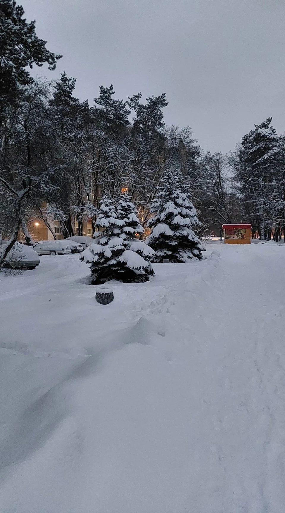 Зима у Славутичі: Альбом сніжних спогадів від Славутичан фото №11