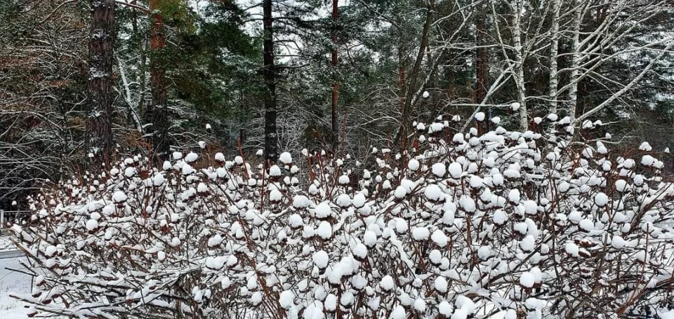 Зима у Славутичі: Альбом сніжних спогадів від Славутичан фото №12