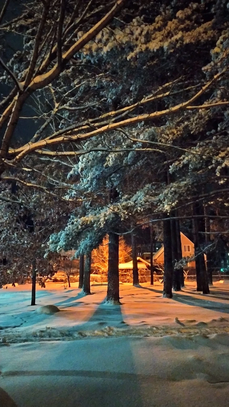 Зима у Славутичі: Альбом сніжних спогадів від Славутичан фото №14