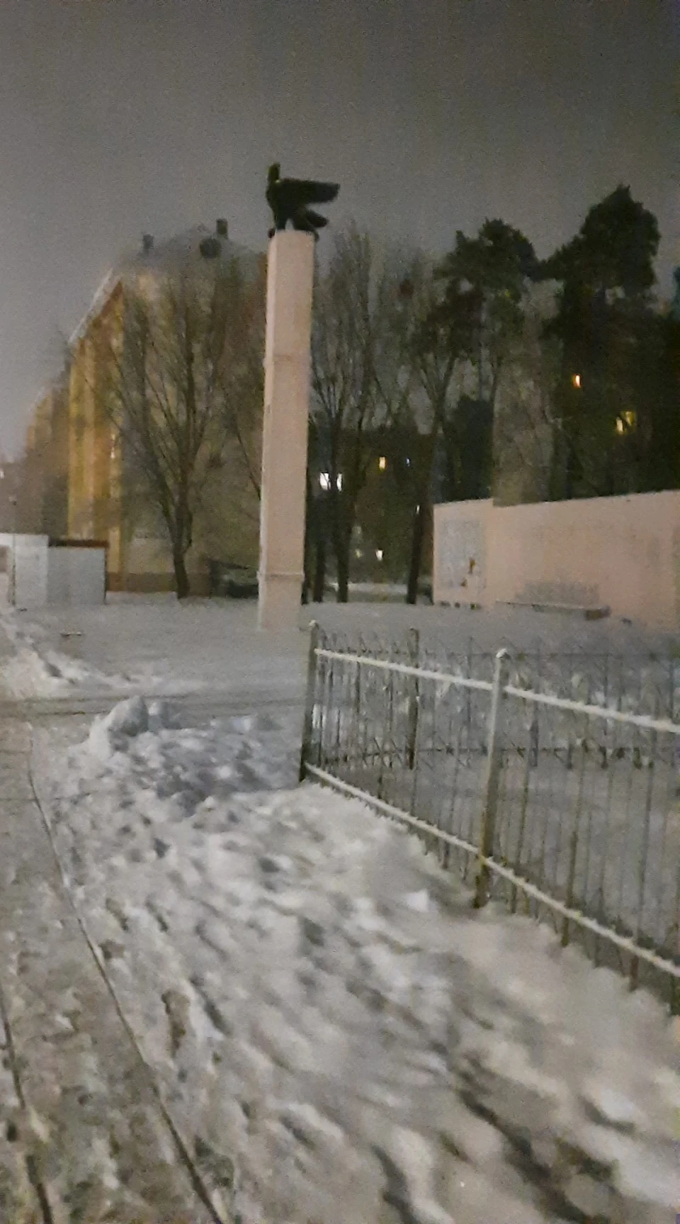 Зима у Славутичі: Альбом сніжних спогадів від Славутичан фото №15
