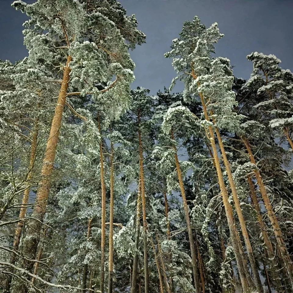 Зима у Славутичі: Альбом сніжних спогадів від Славутичан фото №18
