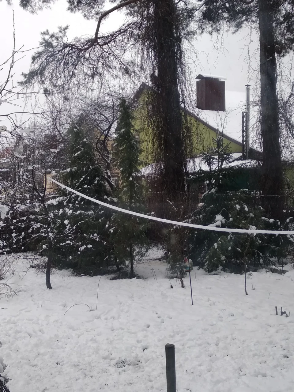 Зима у Славутичі: Альбом сніжних спогадів від Славутичан фото №19