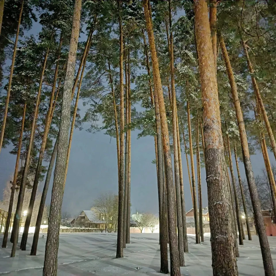 Зима у Славутичі: Альбом сніжних спогадів від Славутичан фото №20