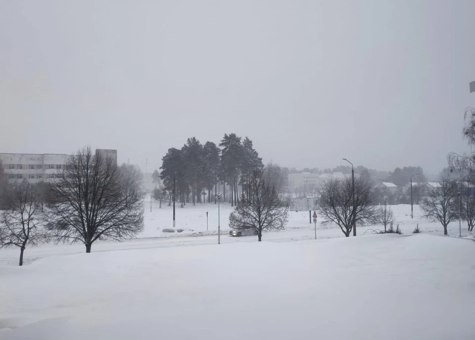 Зима у Славутичі: Альбом сніжних спогадів від Славутичан фото №21