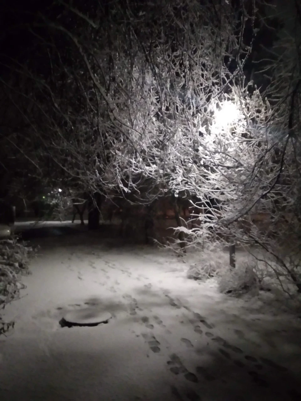 Зима у Славутичі: Альбом сніжних спогадів від Славутичан фото №23