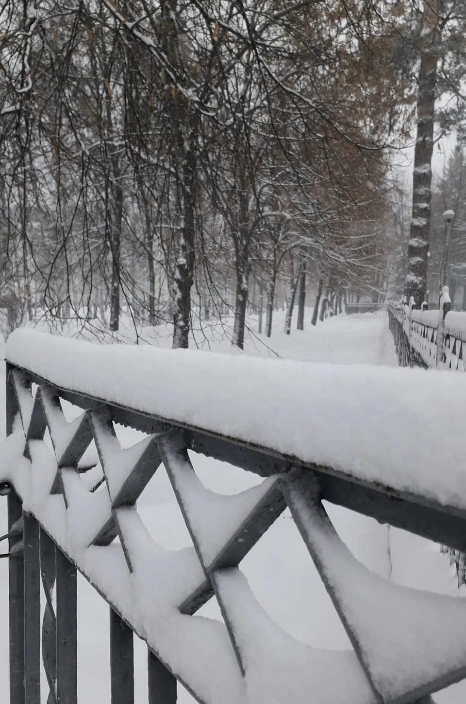 Зима у Славутичі: Альбом сніжних спогадів від Славутичан фото №25