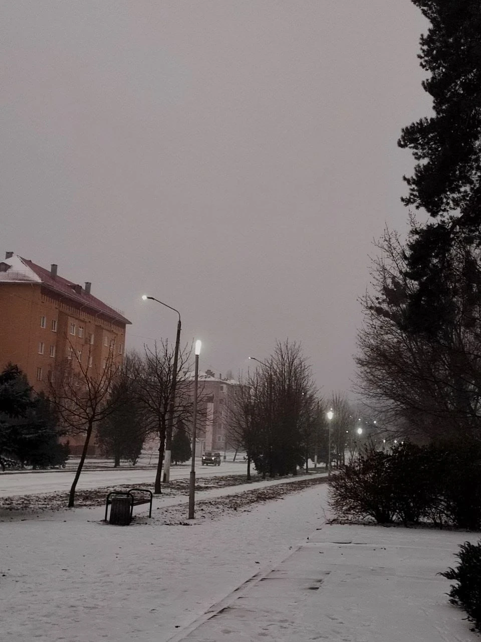 Зима у Славутичі: Альбом сніжних спогадів від Славутичан фото №30