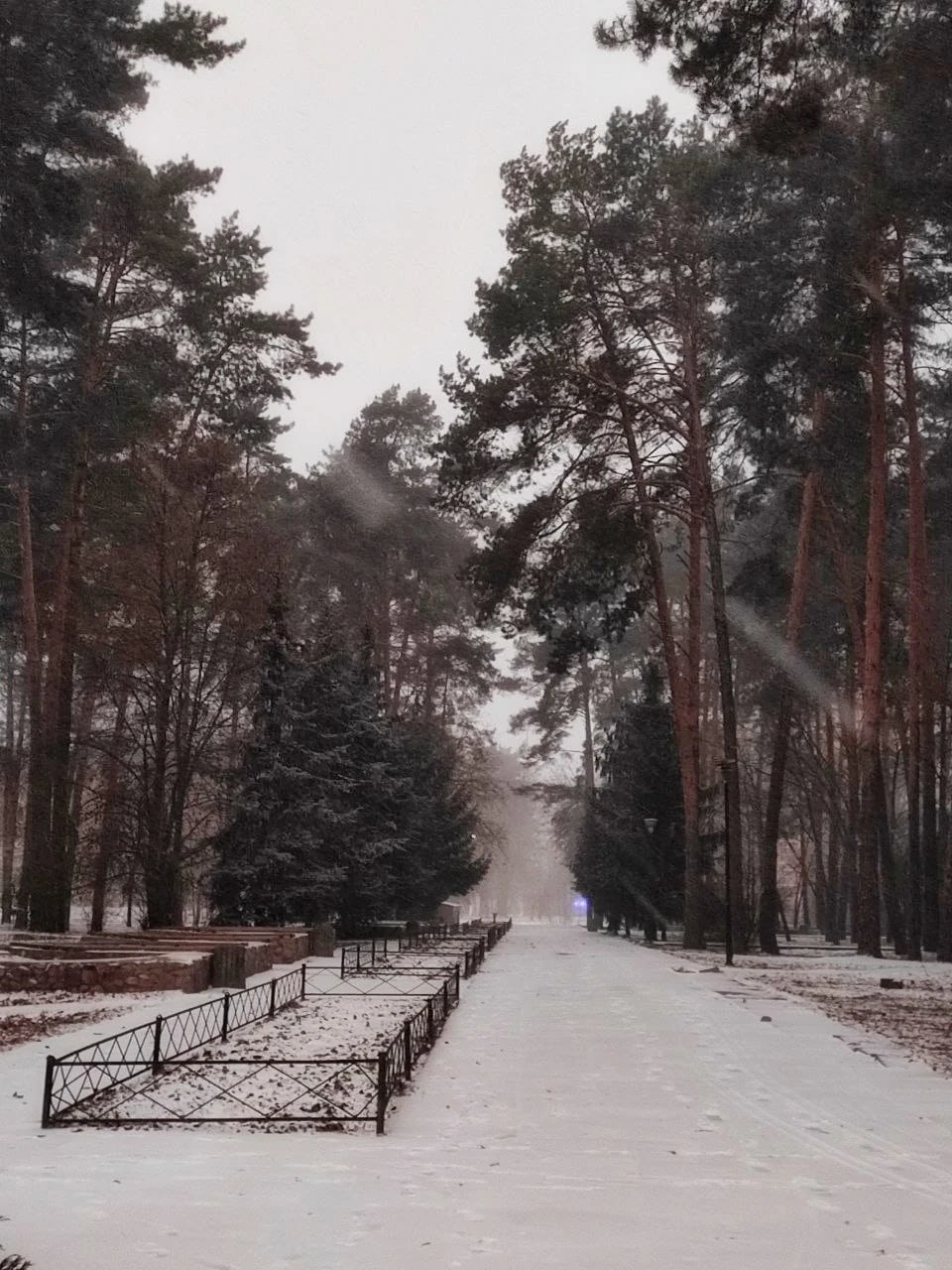 Зима у Славутичі: Альбом сніжних спогадів від Славутичан фото №31