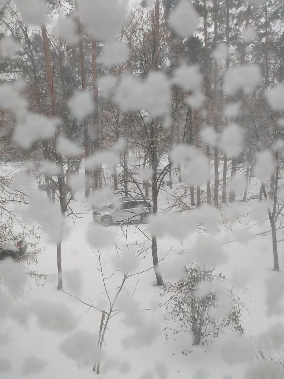 Зима у Славутичі: Альбом сніжних спогадів від Славутичан фото №33