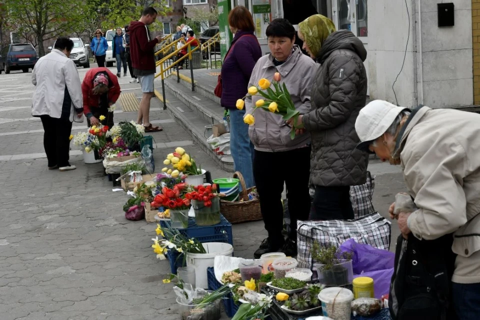 У нас на базарі: Фоторепортаж з весняного ринку у Славутичі фото №7