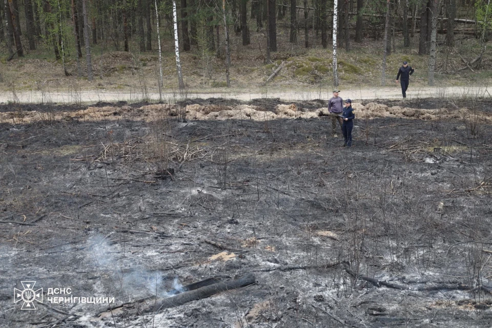 Пожежа на три гектари: Жінка з Малійок отримала штраф у розмірі 15 тисяч за спалення трави фото №6