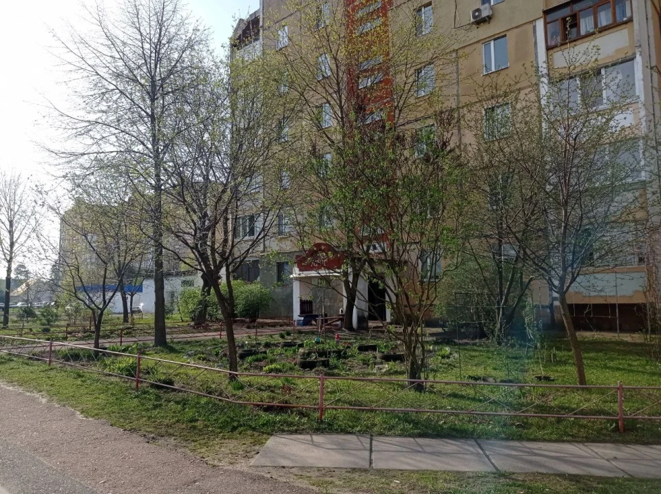 Славутичани створюють красу на своїх подвір’ях фото №2