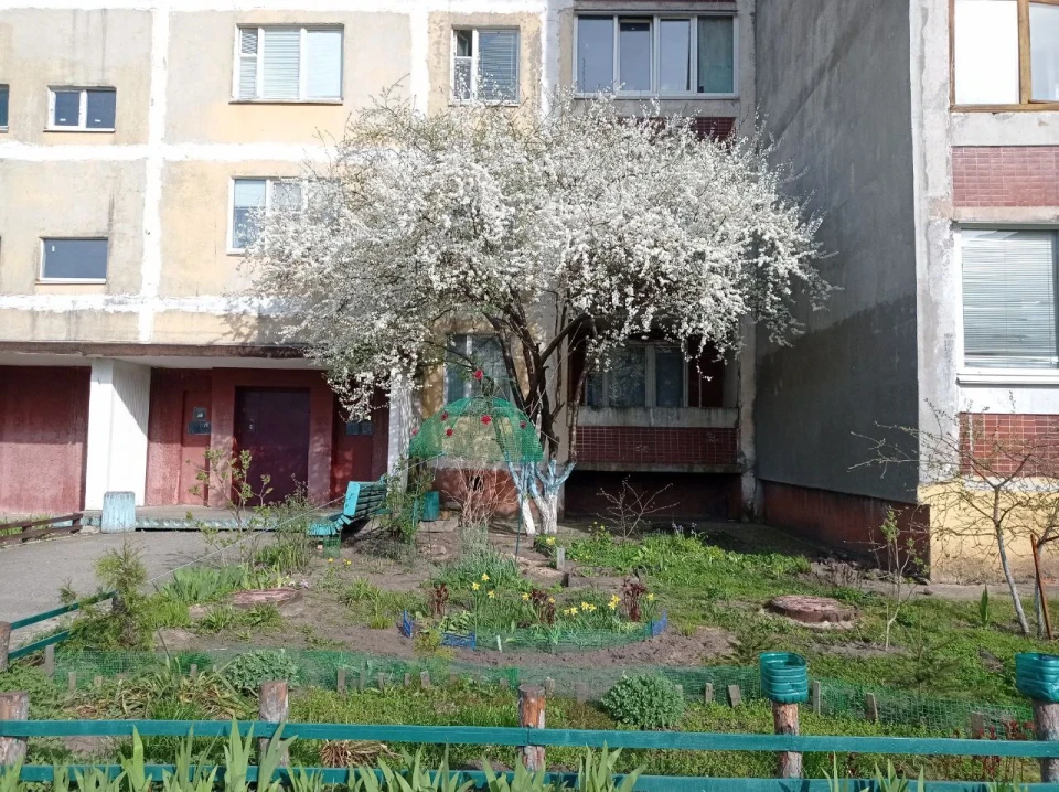 Славутичани створюють красу на своїх подвір’ях фото №16