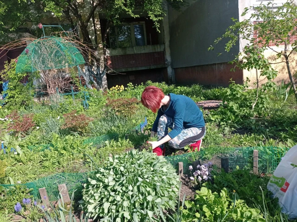 Славутичани створюють красу на своїх подвір’ях фото №24
