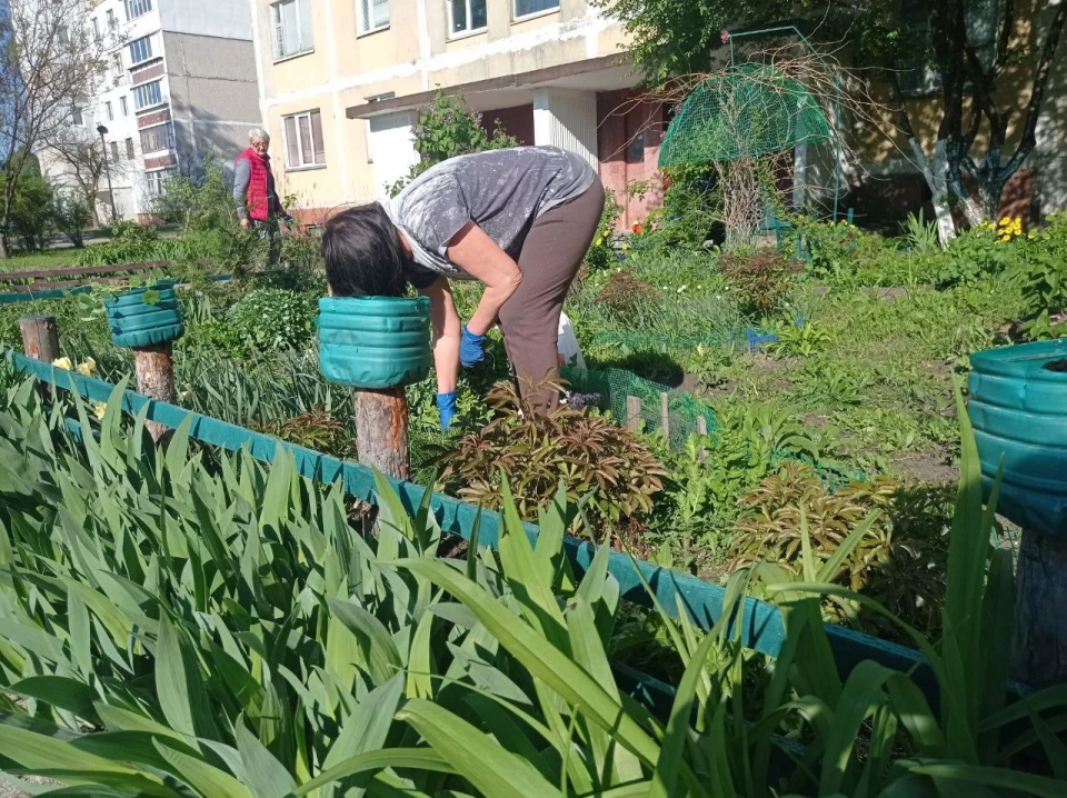 Славутичани створюють красу на своїх подвір’ях фото №25
