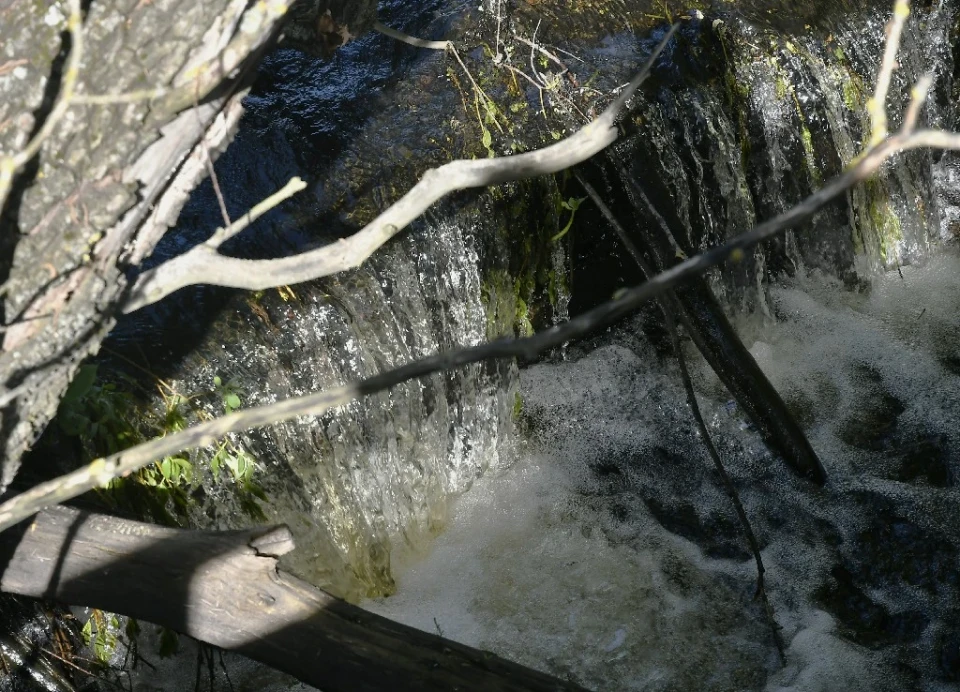 Могутня сила природи: Фоторепортаж водопілля на Дніпрі фото №8