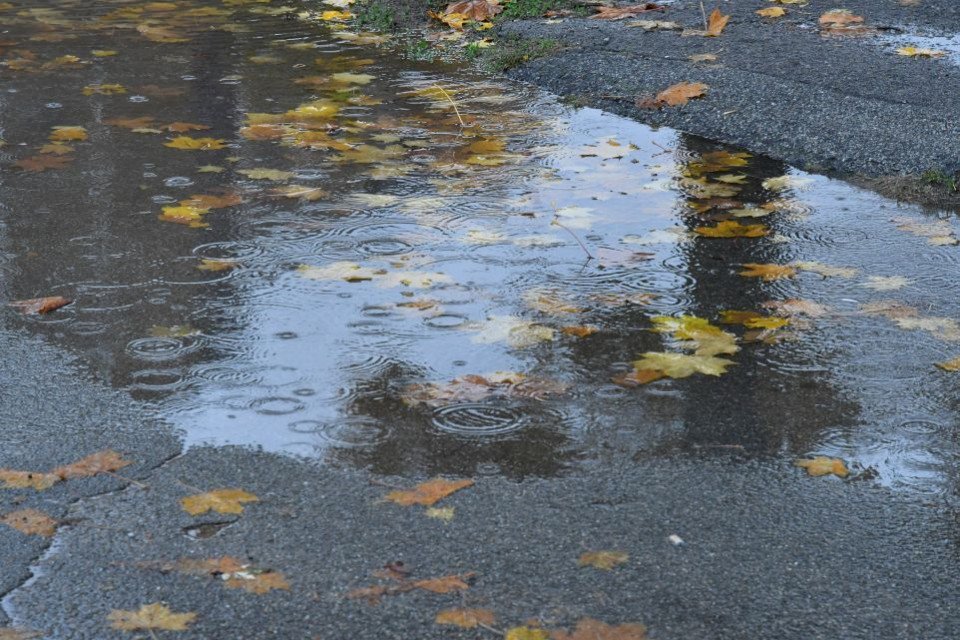 Дощ у Славутичі: осінні роздуми фото №3