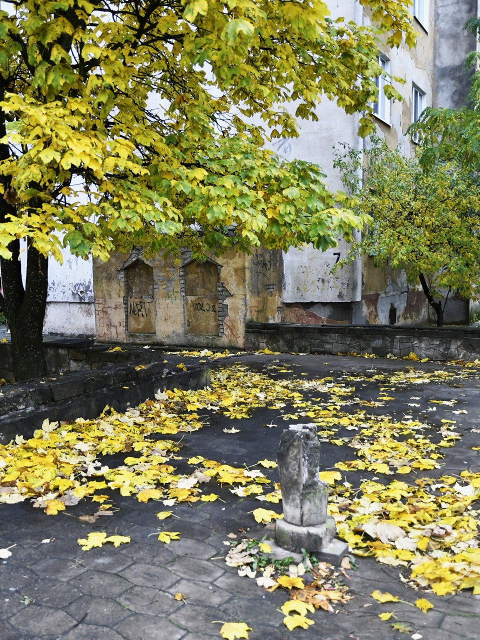 Дощ у Славутичі: осінні роздуми фото №6