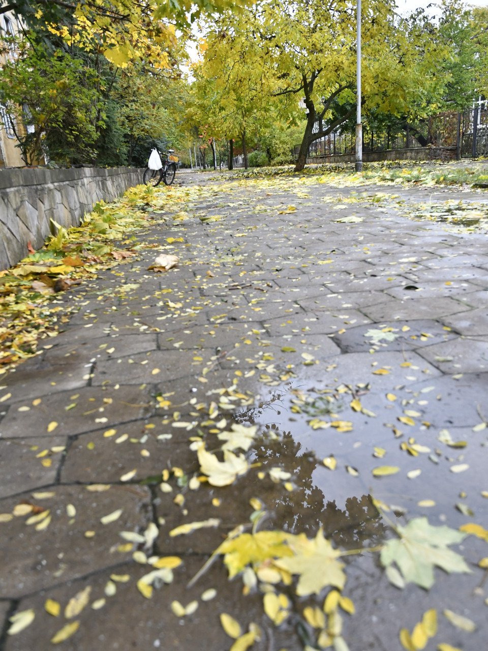 Дощ у Славутичі: осінні роздуми фото №7