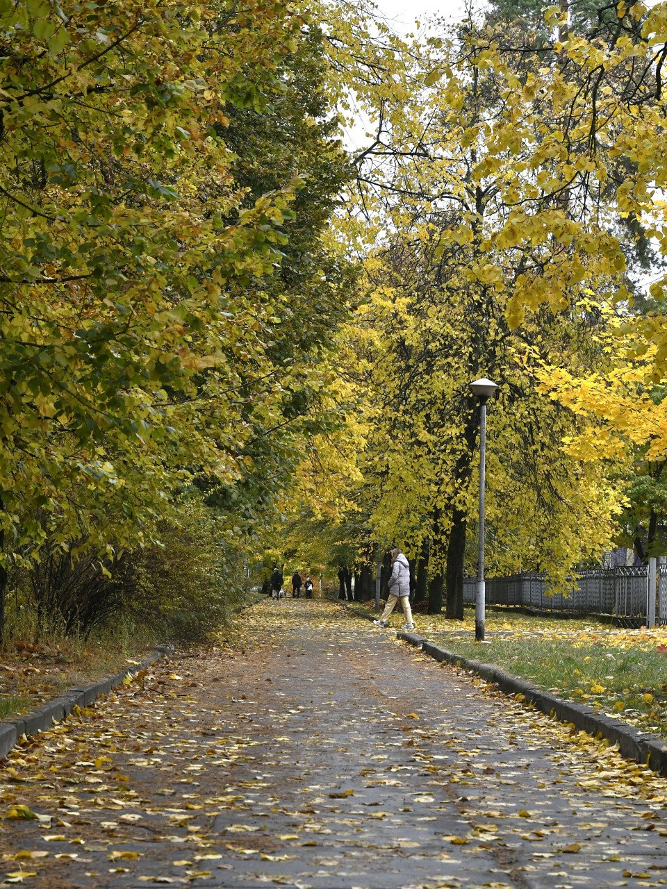 Дощ у Славутичі: осінні роздуми фото №18