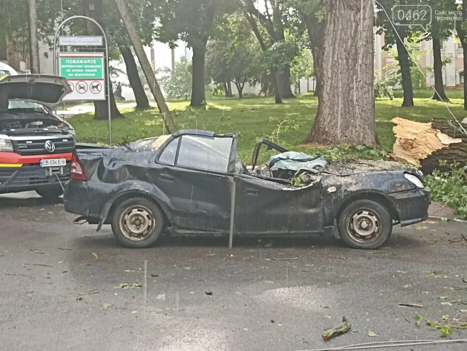 Негода у Чернігові: Дерево розтрощило авто фото №1