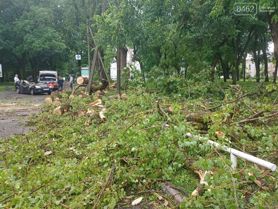 Негода у Чернігові: Дерево розтрощило авто фото №4
