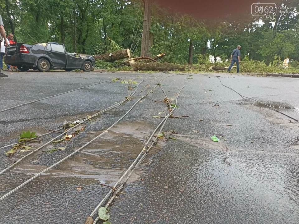 Негода у Чернігові: Дерево розтрощило авто фото №5