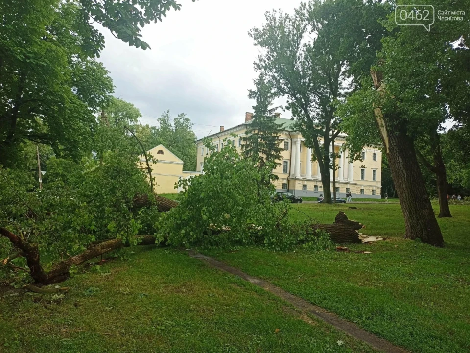 Негода у Чернігові: Дерево розтрощило авто фото №7