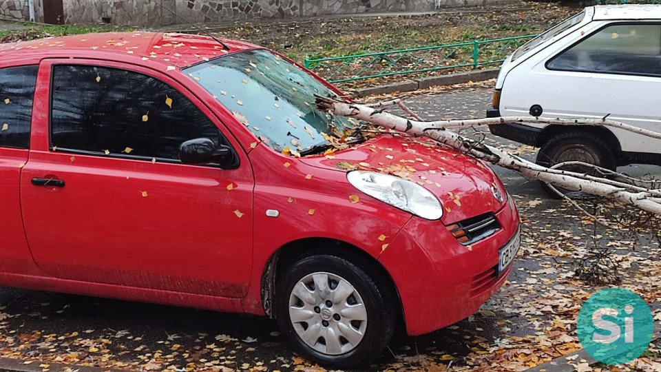 Штормове попередження у Славутичі - дерево впало на авто фото №1