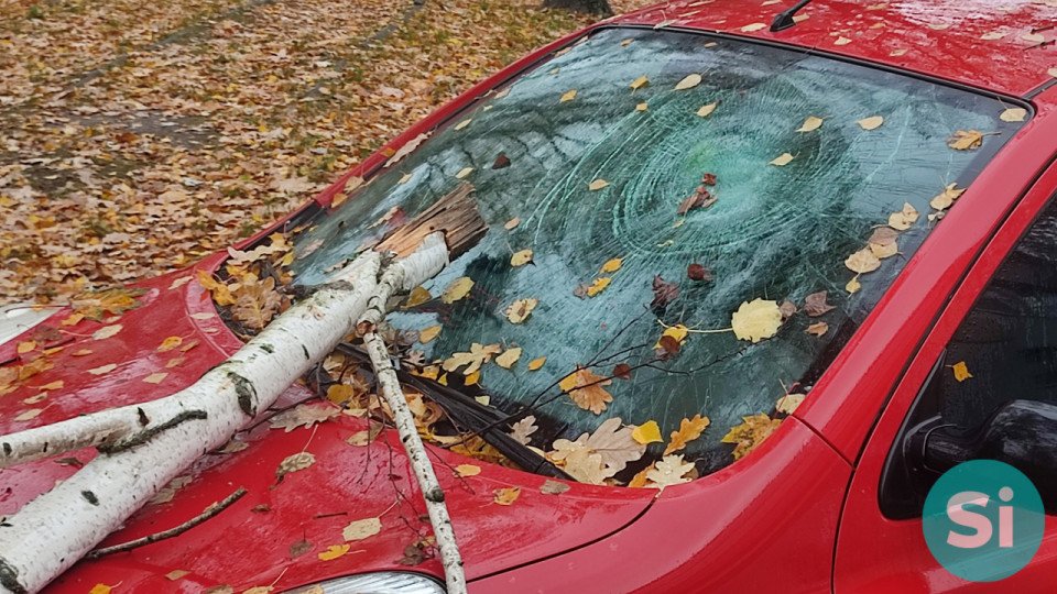 Штормове попередження у Славутичі - дерево впало на авто фото №4
