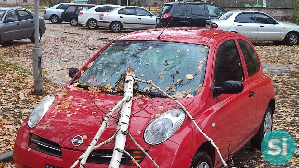 Штормове попередження у Славутичі - дерево впало на авто фото №5