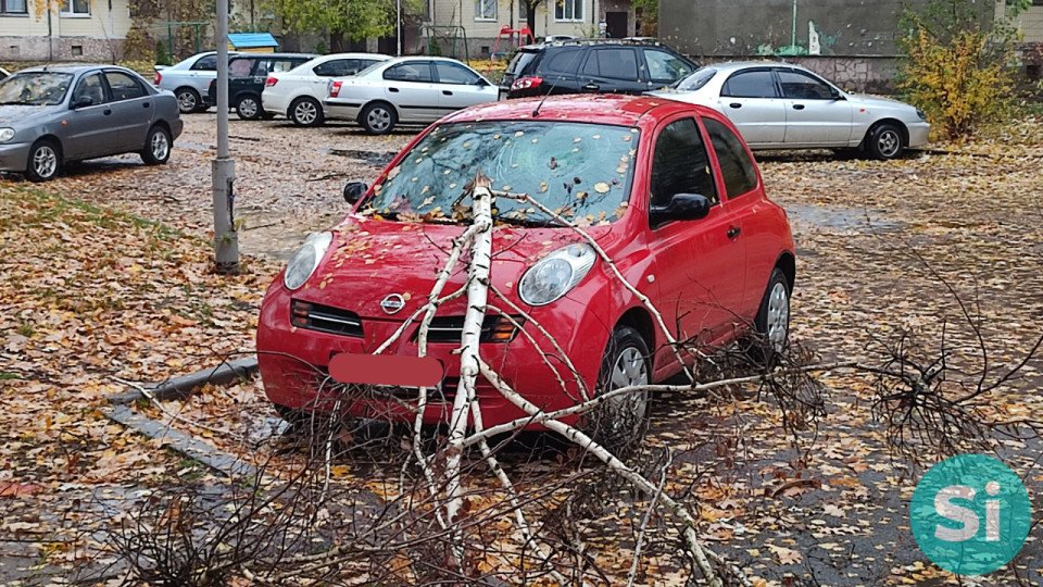 Штормове попередження у Славутичі - дерево впало на авто фото №6