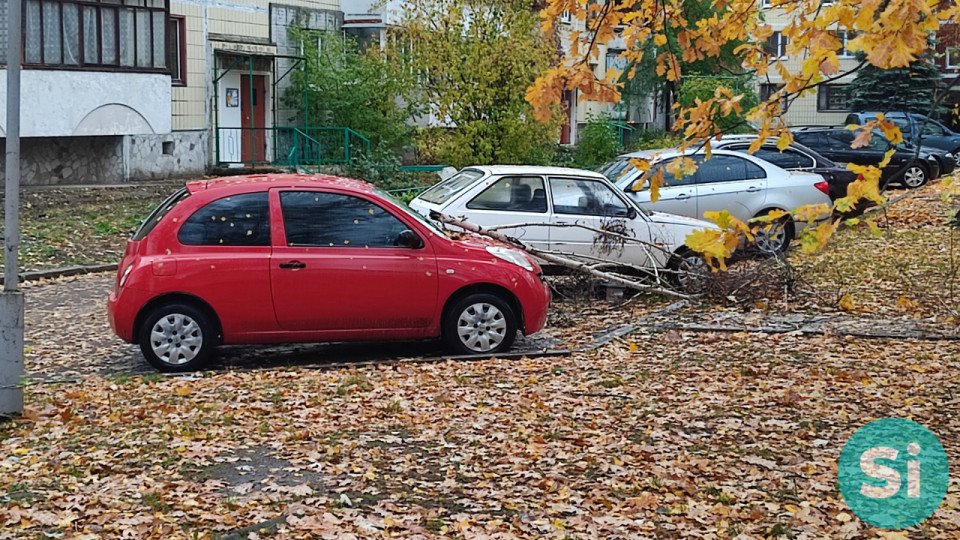 Штормове попередження у Славутичі - дерево впало на авто фото №7