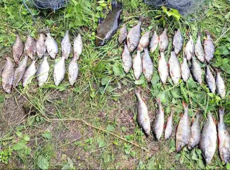 Браконьєр виловив 3 кілограми риби й заплатить понад 70 тисяч гривень