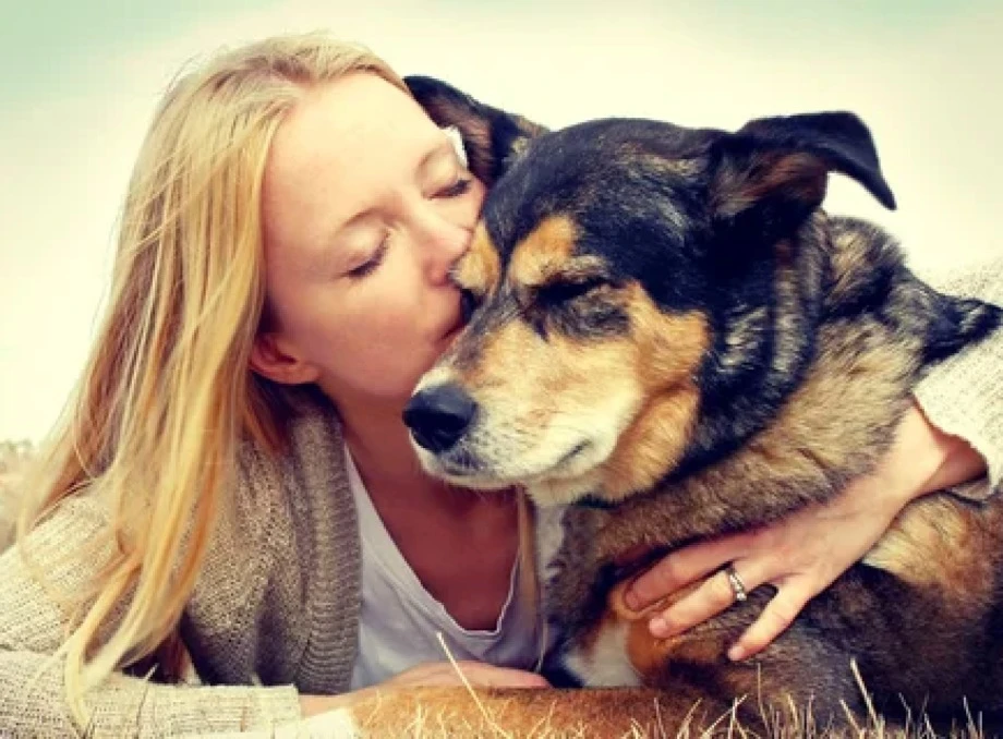 Харчування Вашого улюбленця: Поради від ветеринарки та зоопсихологині