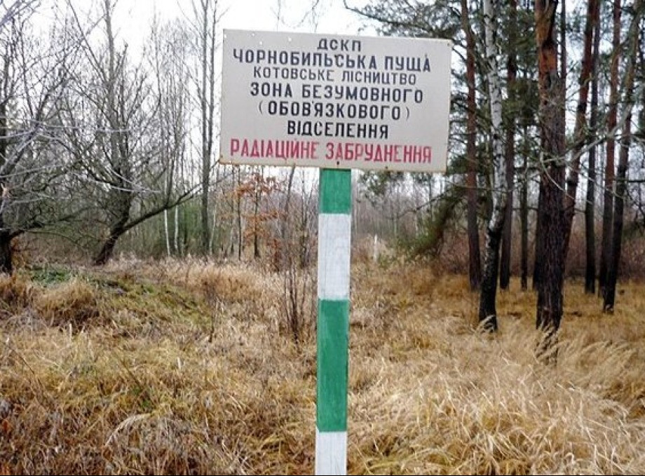 Чорнобильська зона стане безпечною не раніше ніж через 20 тисяч років