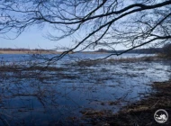 Весняна вода в Чорнобильському радіаційно-екологічному біосферному заповіднику