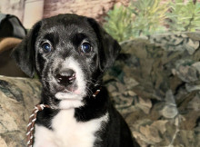 У Славутичі шукають родину для маленької Хустинки