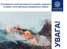 Українців попереджають про небезпеку спалювання сухостою і сміття