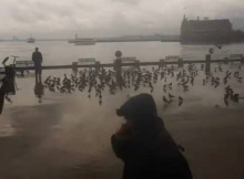 У Туреччині хочуть обмежити доступ дітей до соцмереж: закон ще має підписати Ердоган