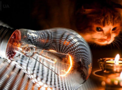 Славутич включили до графіків відключень електроенергії Чернігівобленерго