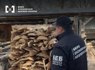 Підприємець із Чернігівщини незаконно експортував деревину на понад 2,6 млн грн